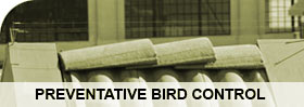 Preventive Bird Control